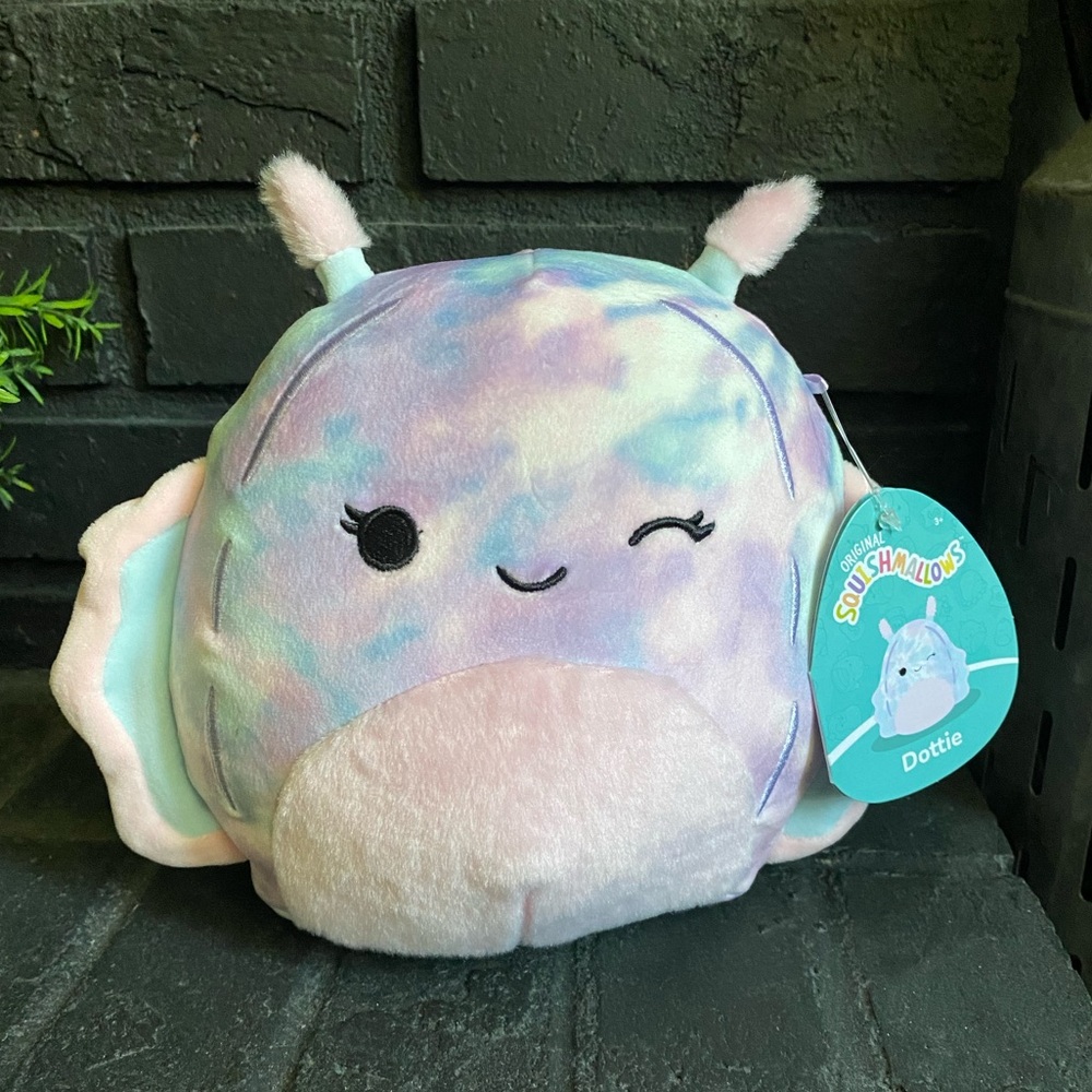 Dottie the sea slug Squishmallow! 7 inch. NWT.